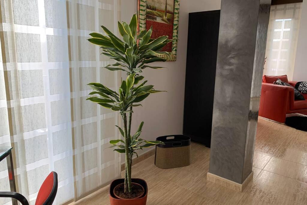 Apartamento Miramar . Amplitud Y Comodidad Almazora Dış mekan fotoğraf