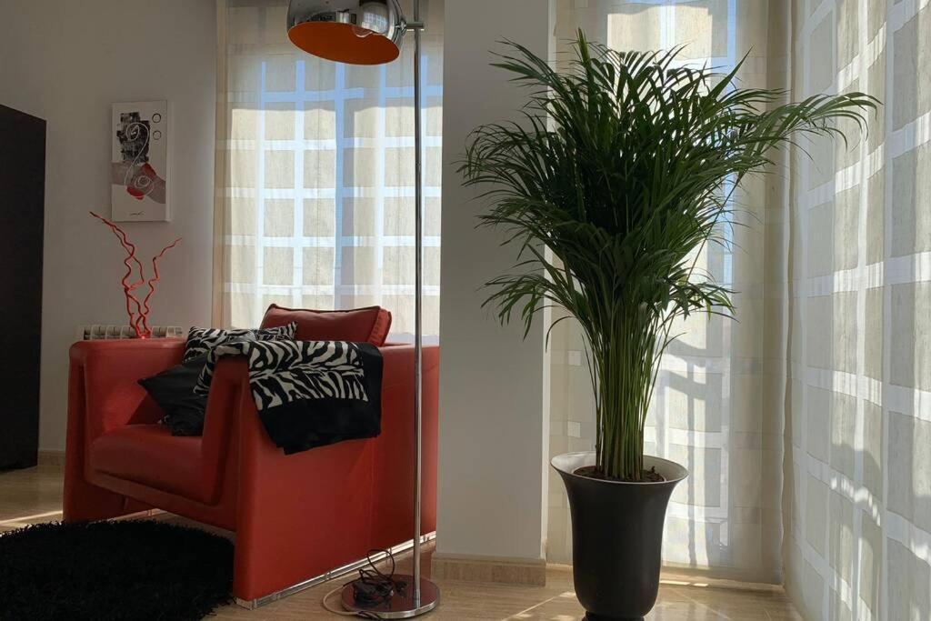 Apartamento Miramar . Amplitud Y Comodidad Almazora Dış mekan fotoğraf